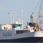 El «Virot» de Baleària en Burriana