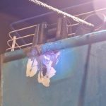 Salta un Noray del Puerto de Tánger Med impactando contra el «Nápoles» que acabó tocando con su proa al «Ciudad de Málaga»